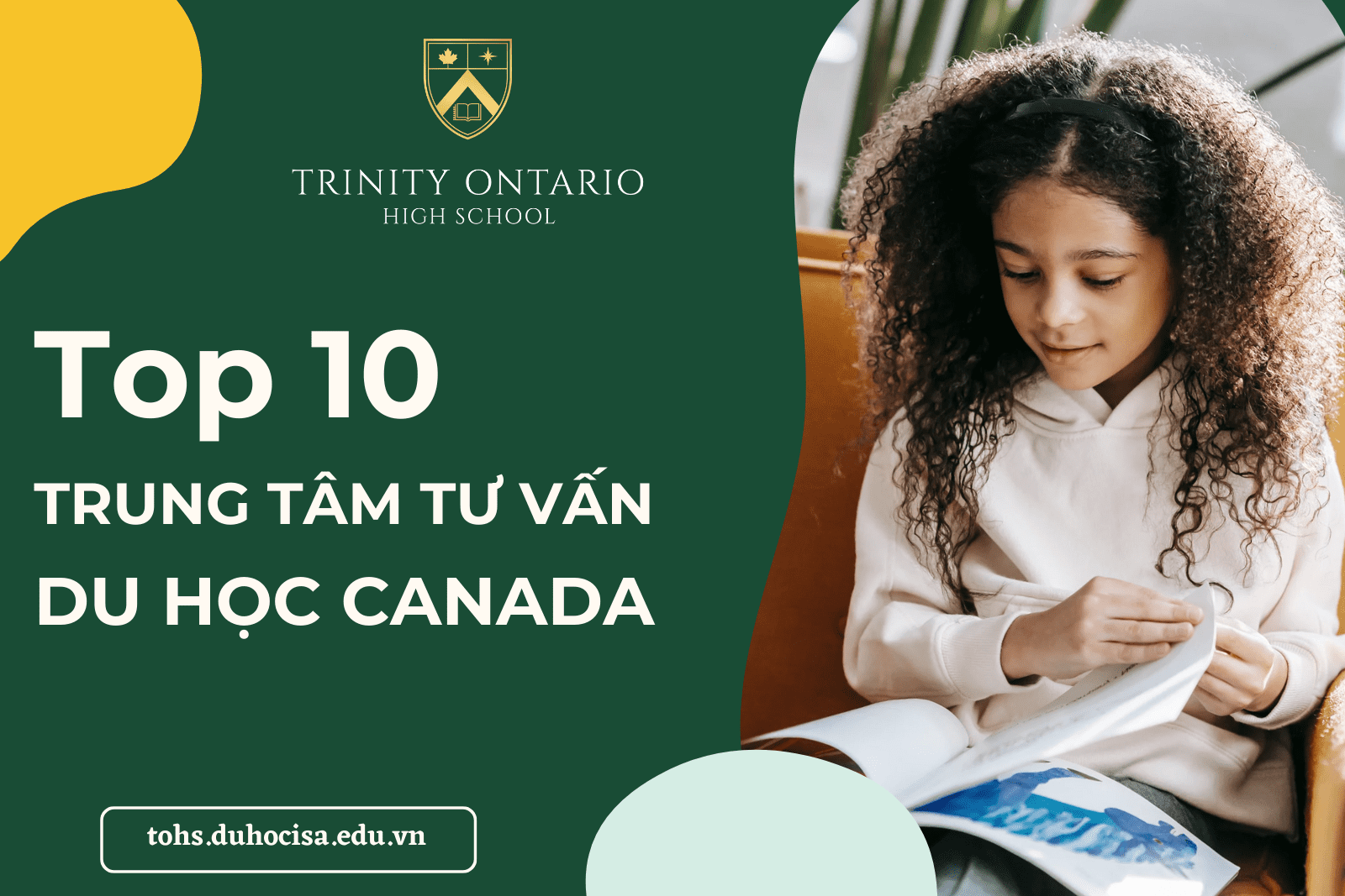 top-10-trung-tam-tu-van-du-hoc-canada-tai-tphcm-chat-luong