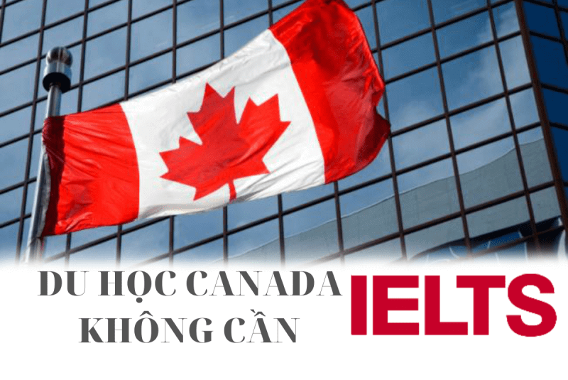 Du học Canada không cần IELTS được không?